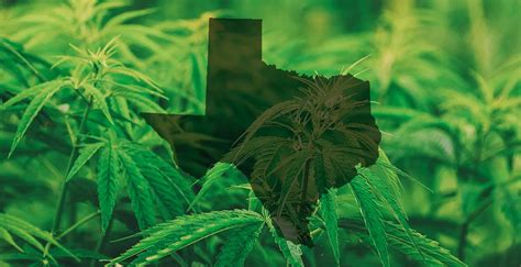 Who can get medical marijuana in Texas?